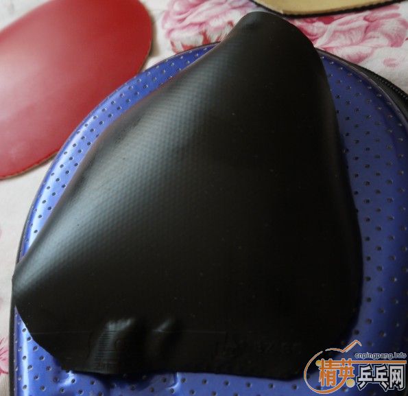 ϲ����������쿪��ʤʤ�� �ײ˼۳���������ƹ����Ʒ