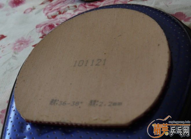 ϲ����������쿪��ʤʤ�� �ײ˼۳���������ƹ����Ʒ