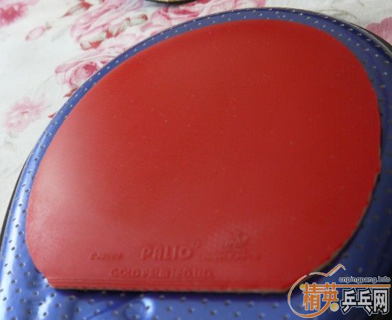 ϲ����������쿪��ʤʤ�� �ײ˼۳���������ƹ����Ʒ