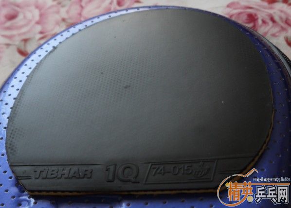 ϲ����������쿪��ʤʤ�� �ײ˼۳���������ƹ����Ʒ