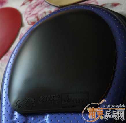 ϲ����������쿪��ʤʤ�� �ײ˼۳���������ƹ����Ʒ