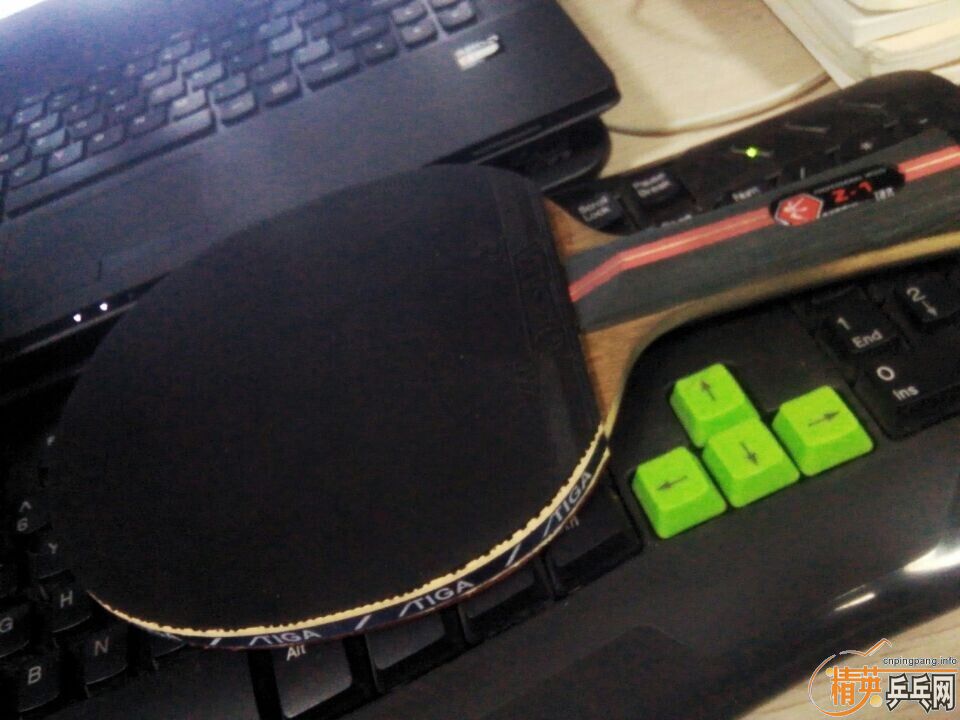 729Z1��ѡ������   ���� ���ӱ�����Ƥ ѧ��ĩ�ͼ�˦