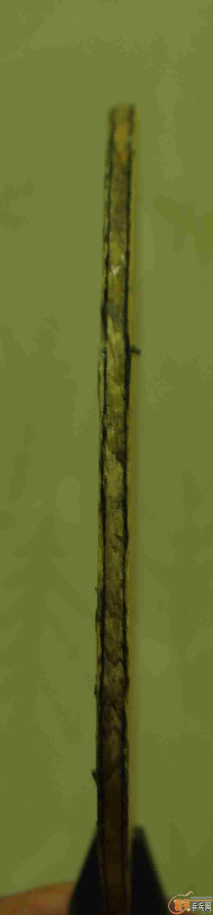 ��һ���������ƺ���������