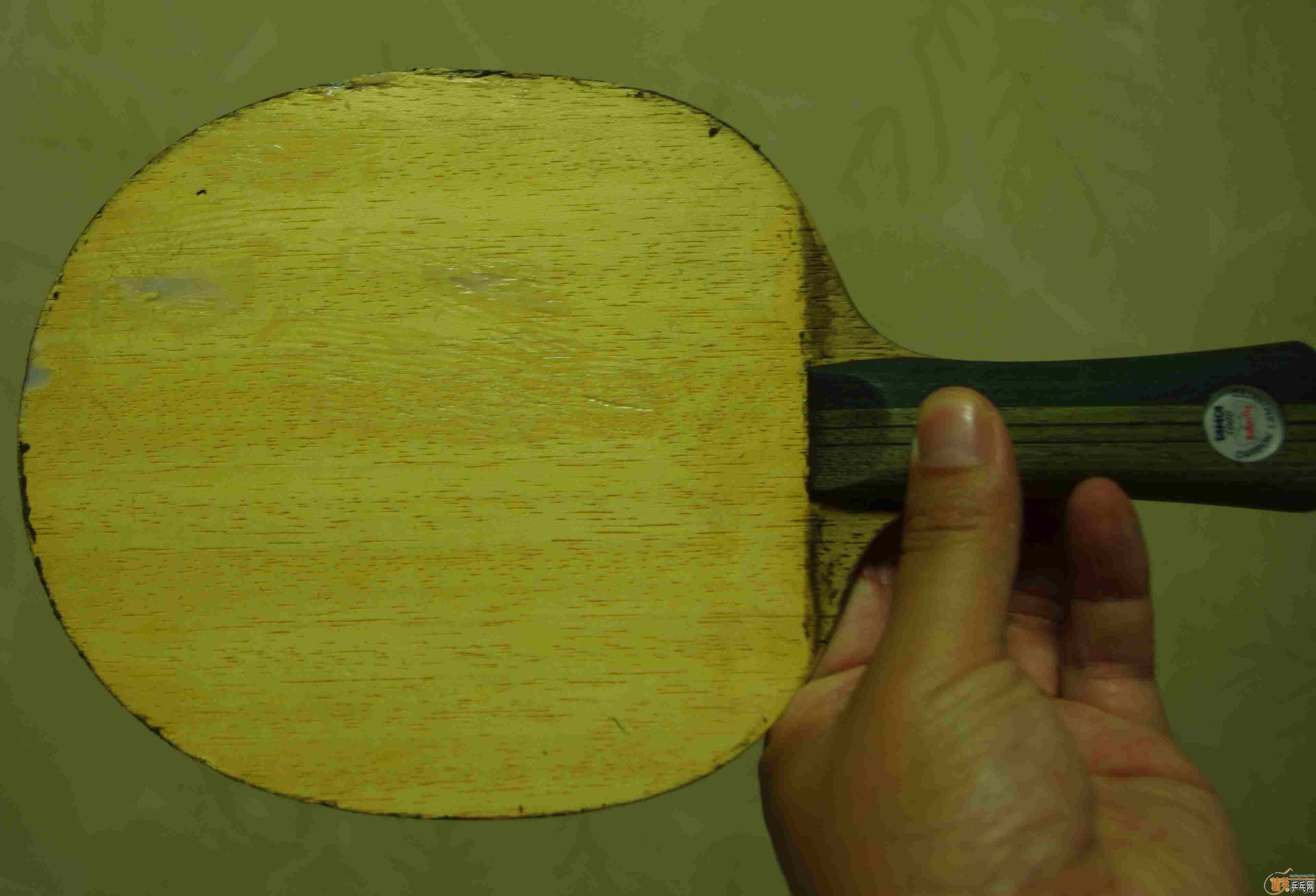 ��һ���������ƺ���������