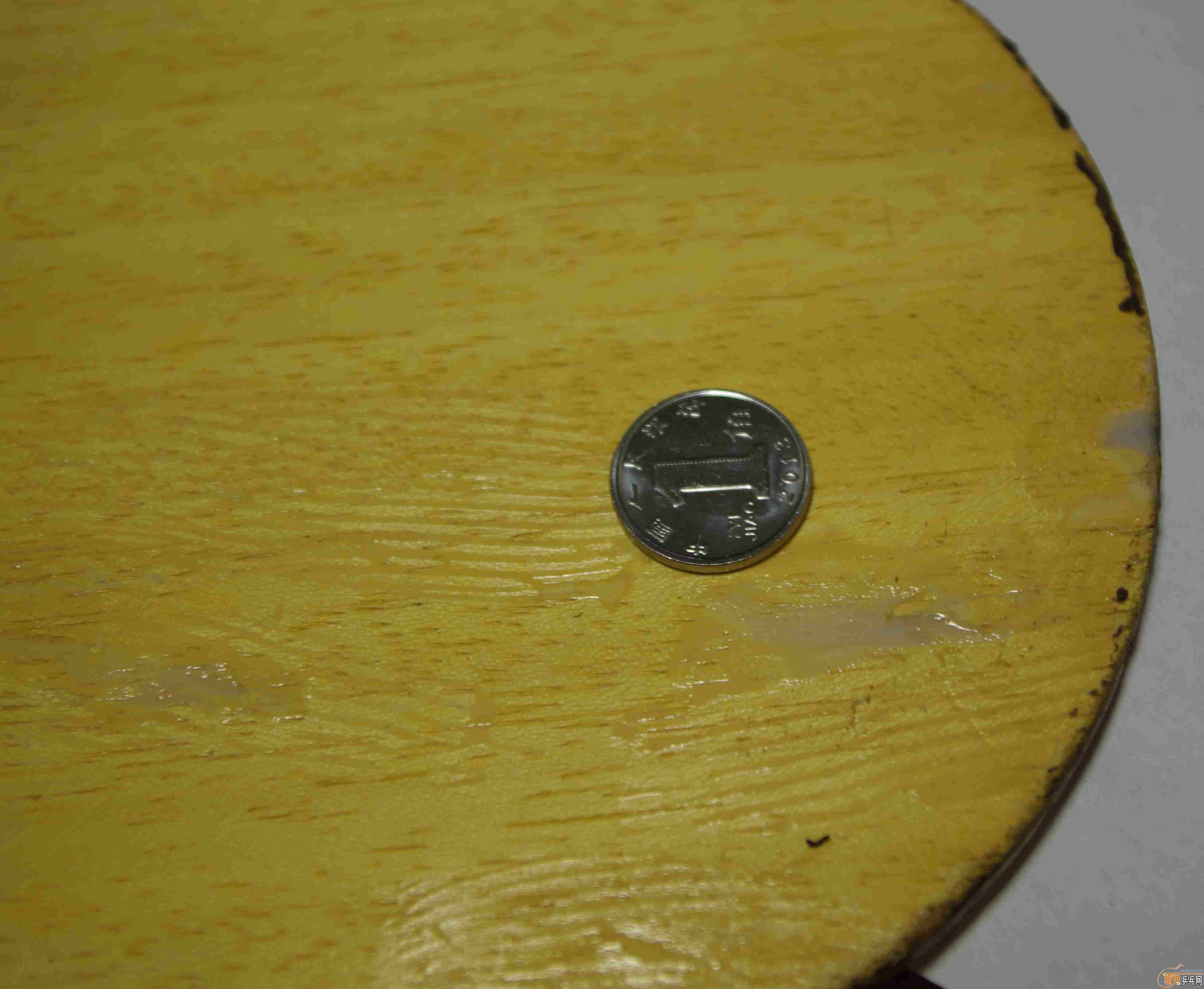 ��һ���������ƺ���������