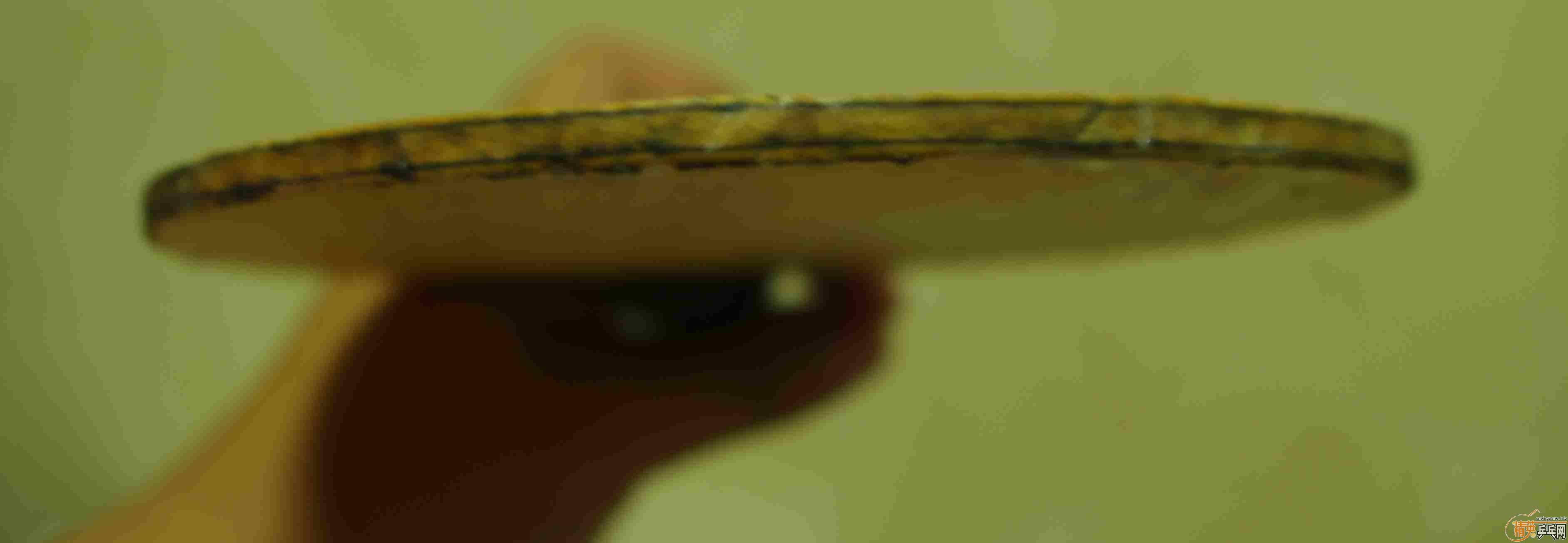 ��һ���������ƺ���������