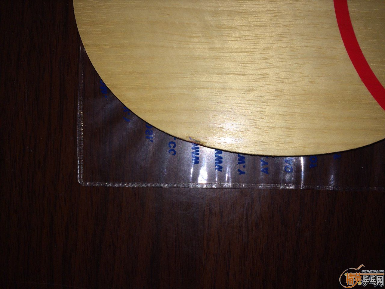 ѡCL-CR88ˣ6.7mm+Donic S1 T(ͨɱ)