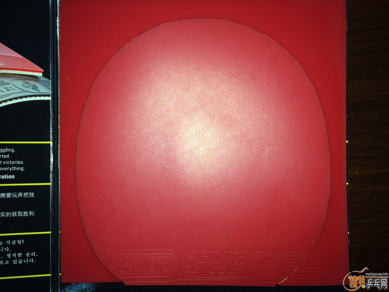 ѡCL-CR88ˣ6.7mm+Donic S1 T(ͨɱ)
