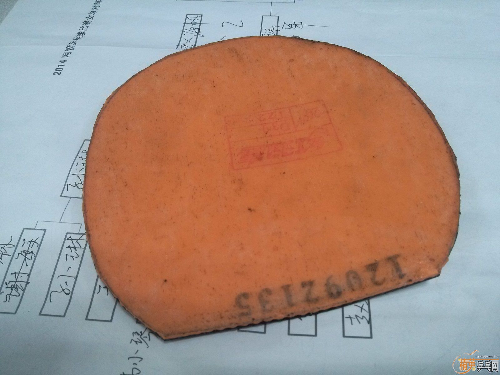 300��9.5��cl+ʡ��