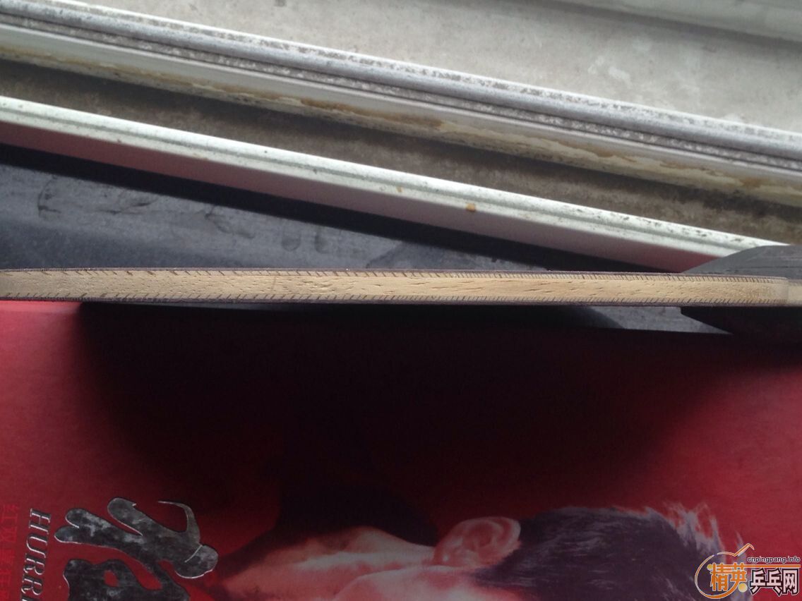 �����2  ��ɫ�� 495Ԫ �������� �����ȵ�