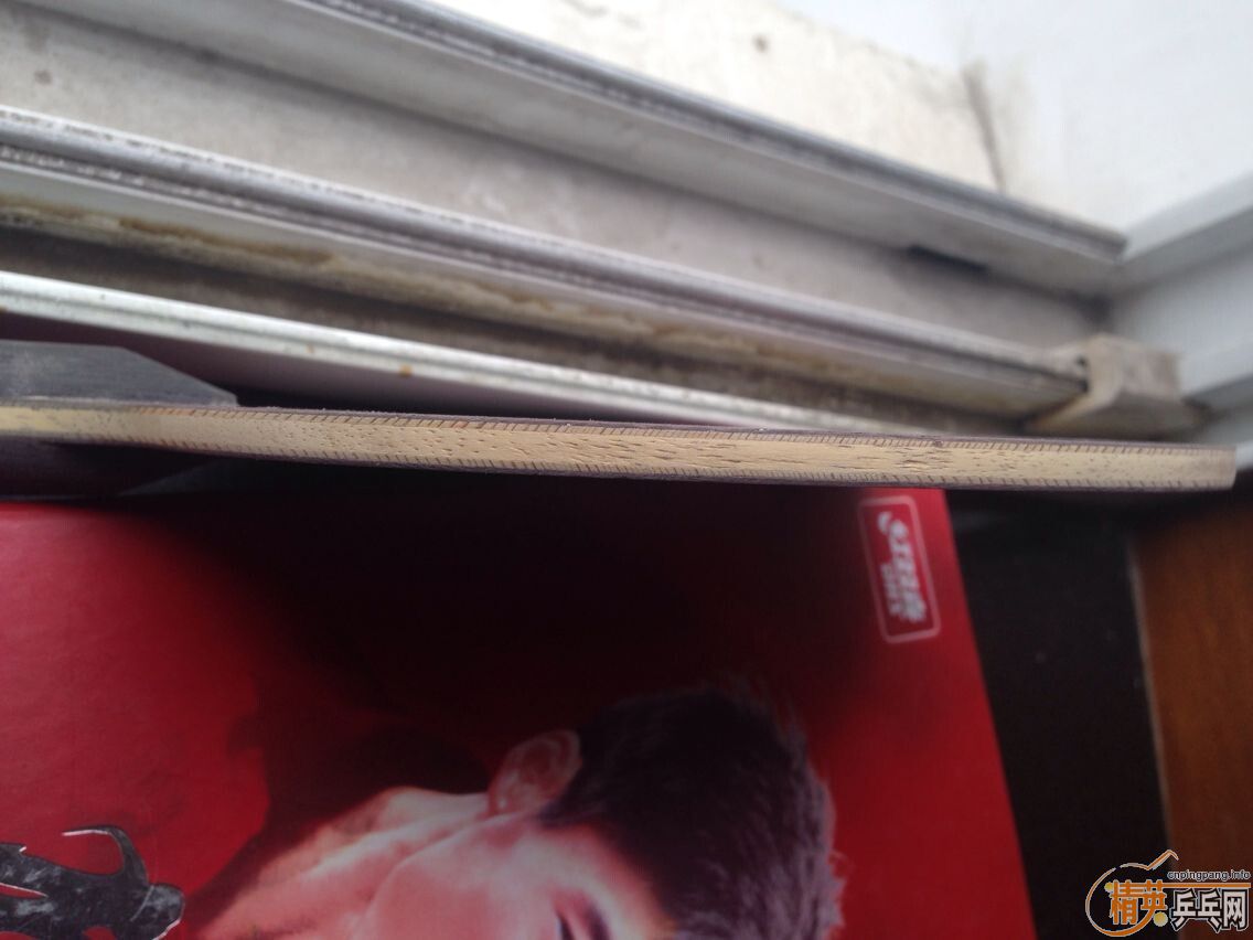 �����2  ��ɫ�� 495Ԫ �������� �����ȵ�