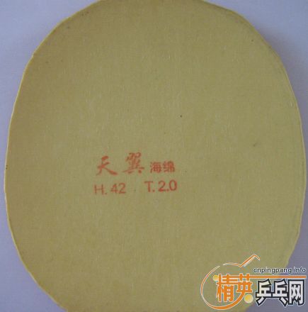 ��95��ͦ�α�����CL