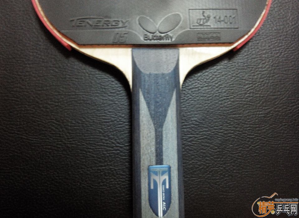 �����һֻ����ɫ����