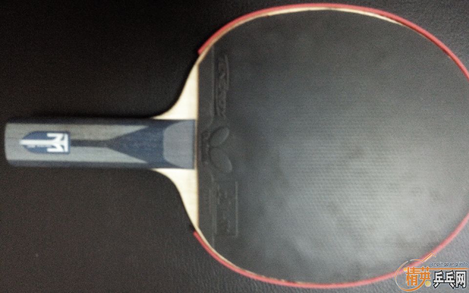 �����һֻ����ɫ����