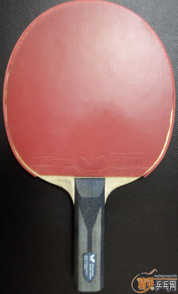 �����һֻ����ɫ����