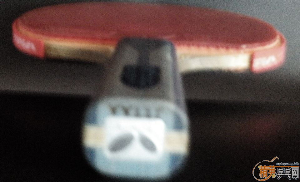 �����һֻ����ɫ����