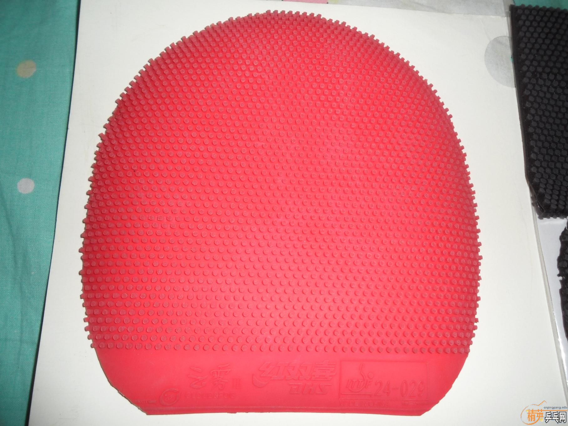 ����6�������׽� 70�������