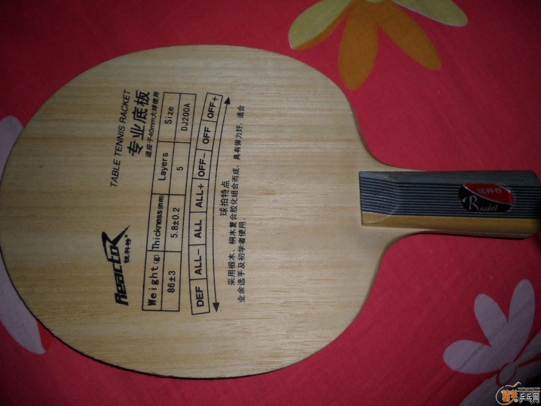 �������µ�����+������+����صװ�+��������+����jo=160����