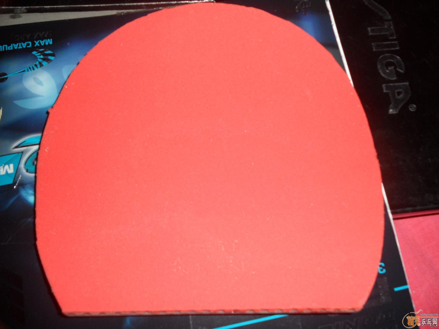 �������µ�����+������+����صװ�+��������+����jo=160����