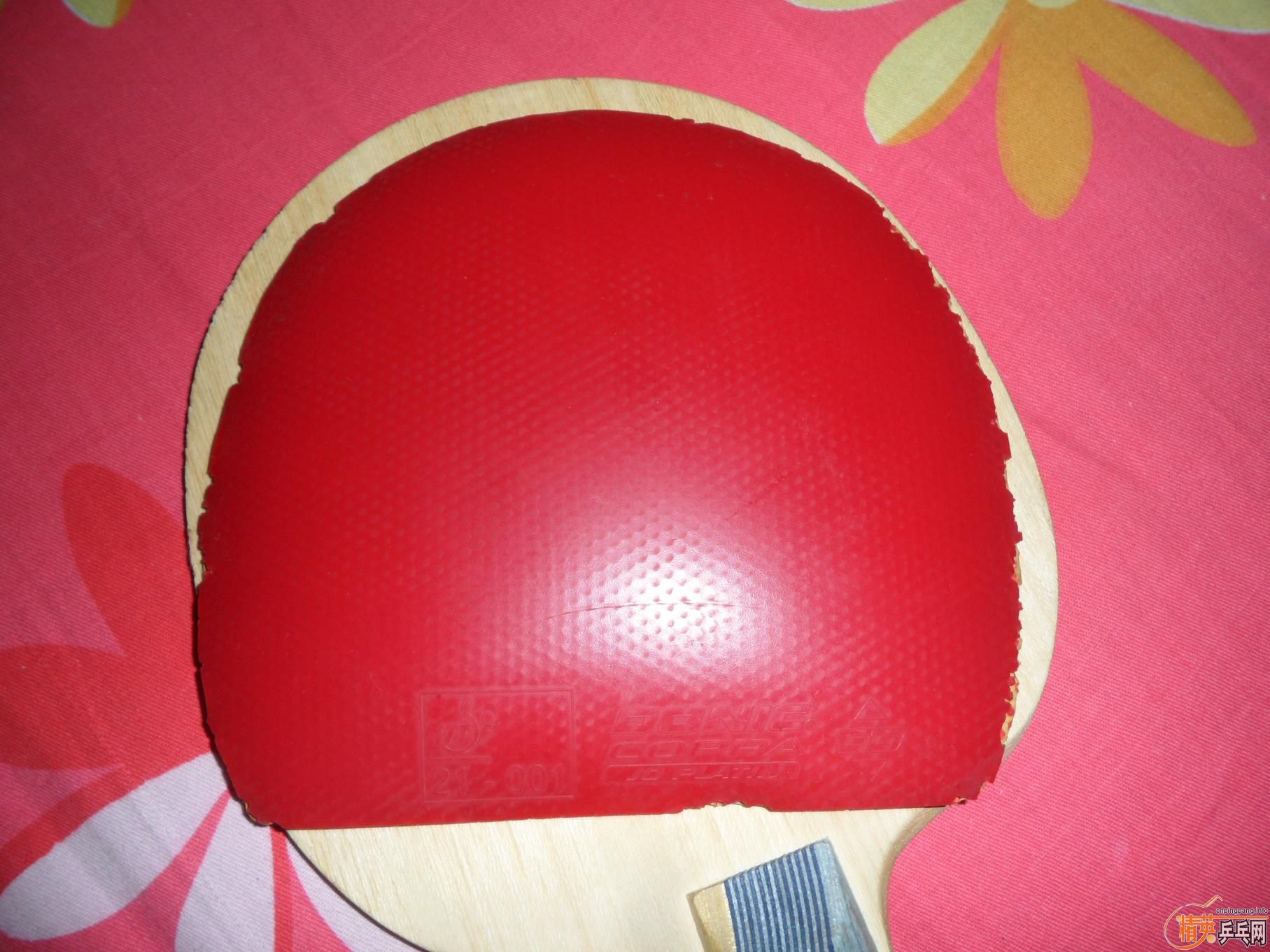 �������µ�����+������+����صװ�+��������+����jo=160����