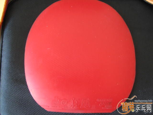 ���۴����ʡ�񣬰׿ǹ����տ񣬼�������