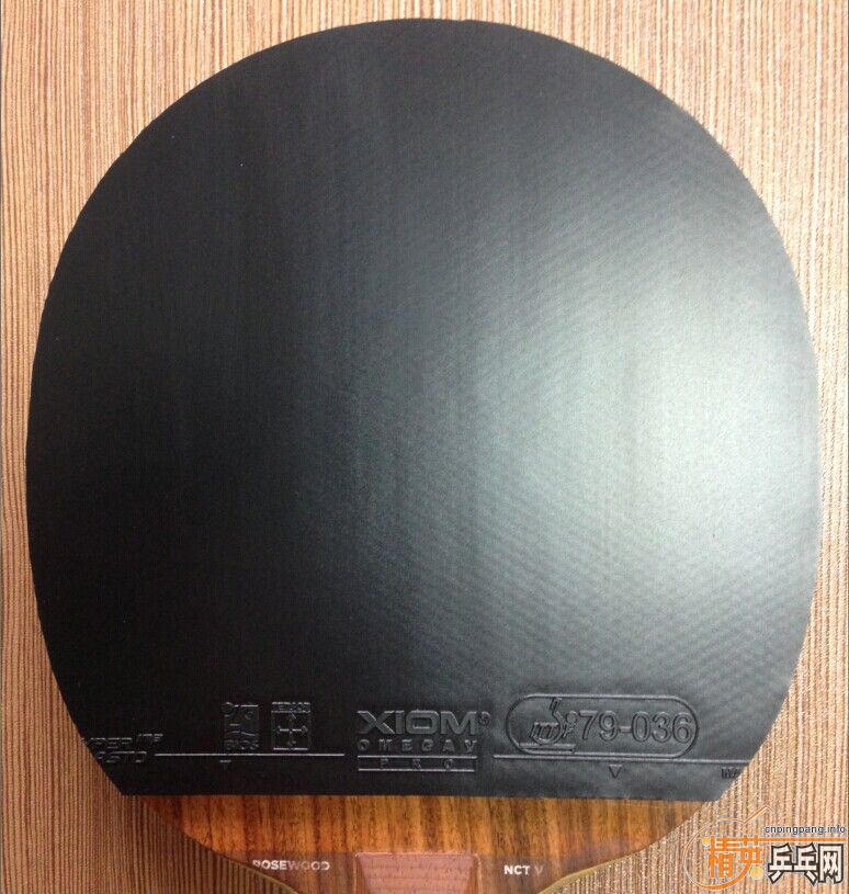 ��ֻ�Թ���Сʱ�ĺ�ɫXIOM����ŷ����5