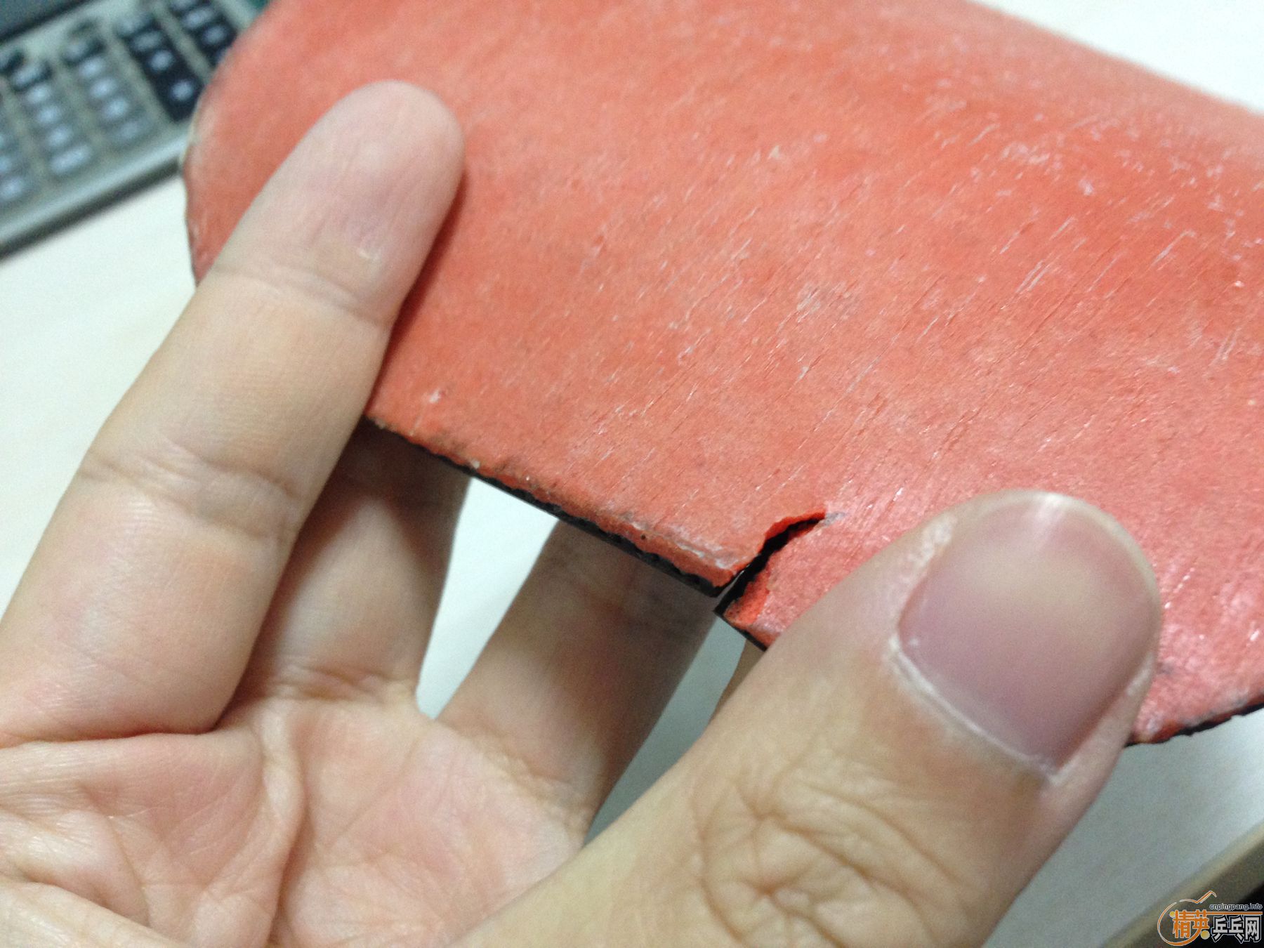 ���ó�ɫ����ߴ磡�������T80����