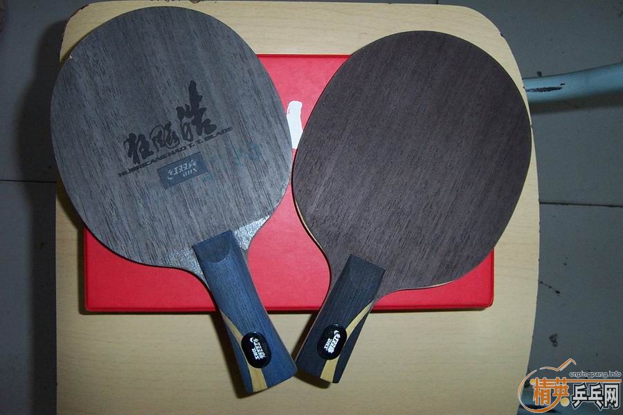 [����]����������Ͽ������