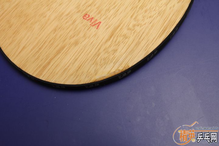 [ԭ��]������ʱ��������˹�ٿ�stiga VPS������joola VIVA