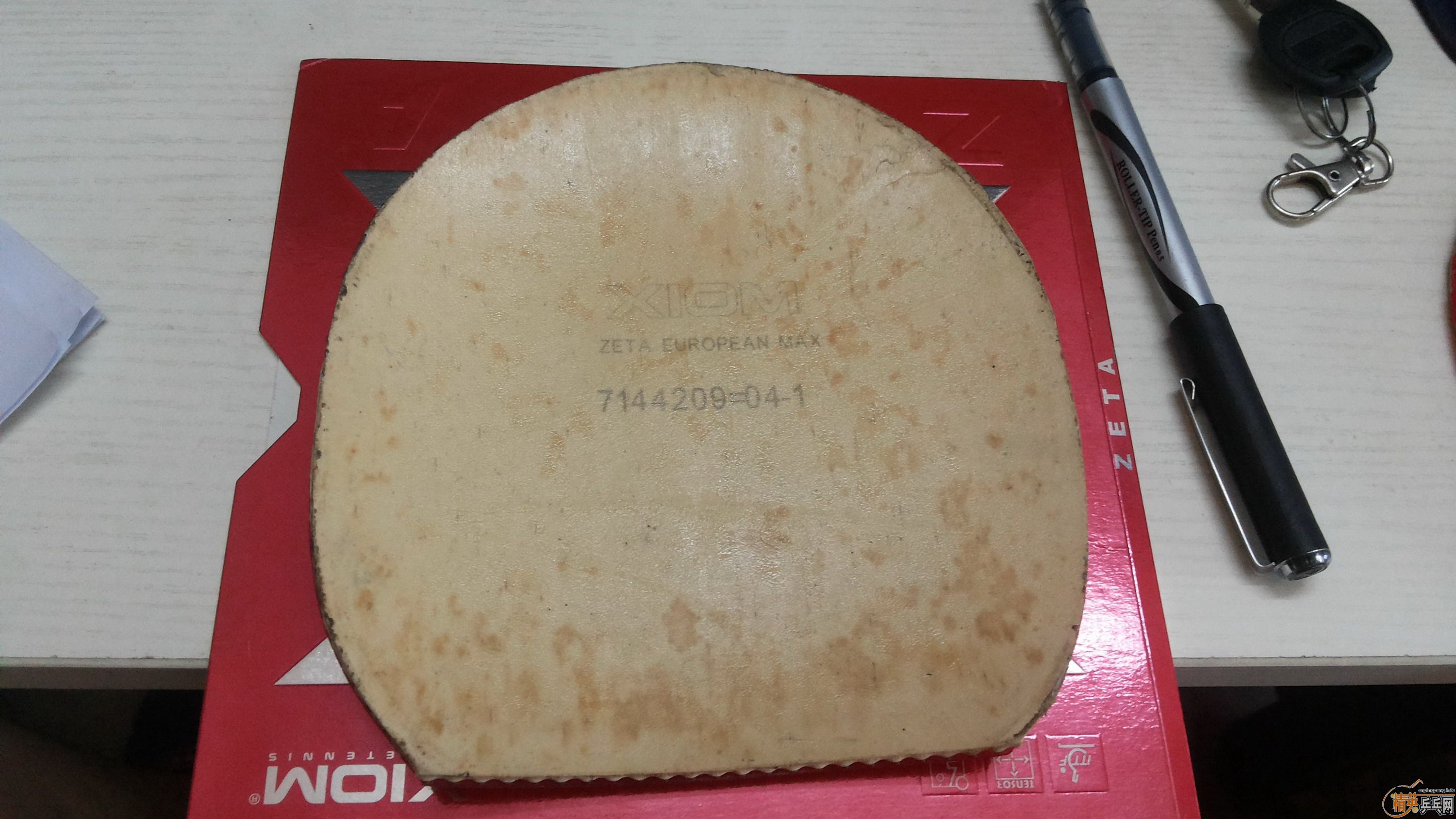 [�Ƽ�]������ð���׽�