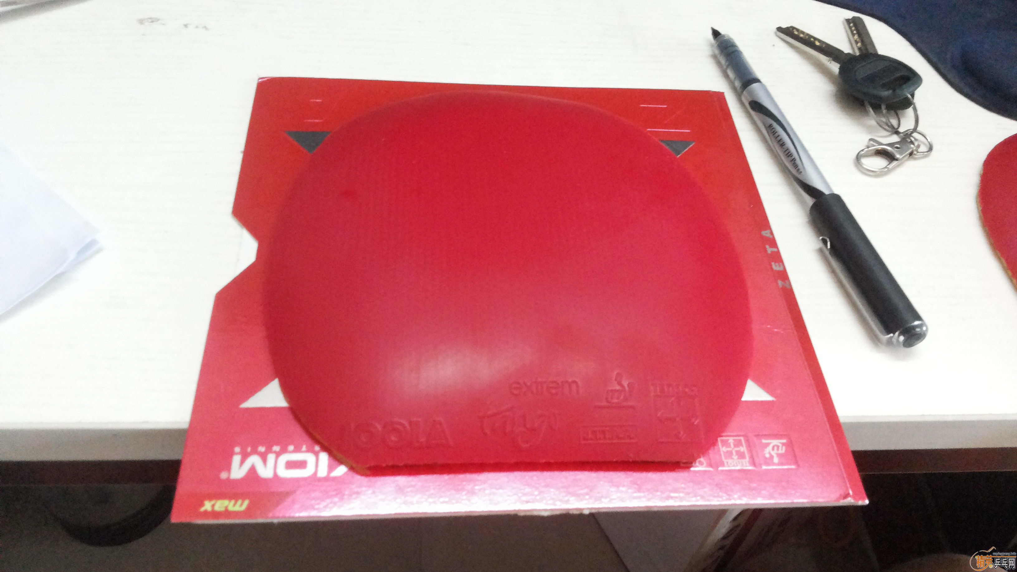 [�Ƽ�]������ð���׽�