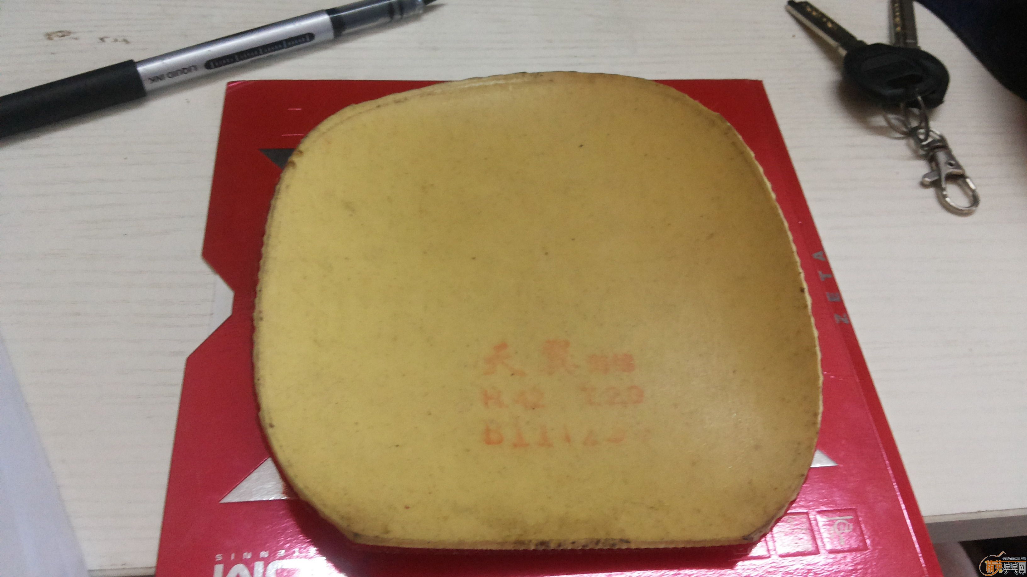 [�Ƽ�]������ð���׽�