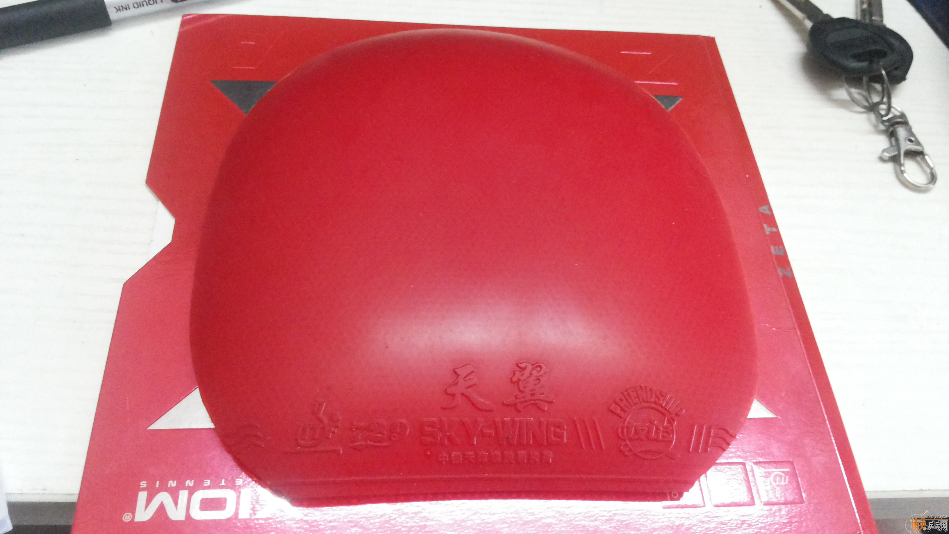 [�Ƽ�]������ð���׽�