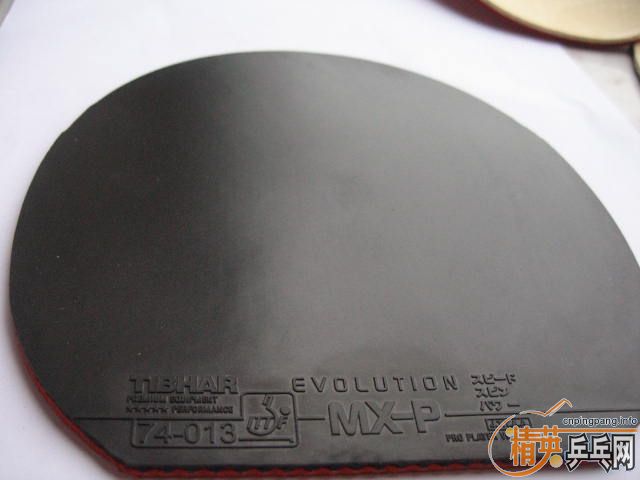 ��ˮ����ľST��10���׽������Խ�࣬�Ż�Խ�࣡