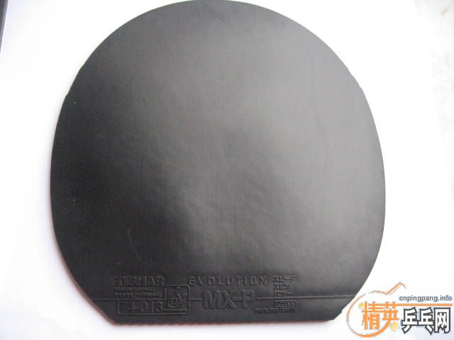 ��ˮ����ľST��10���׽������Խ�࣬�Ż�Խ�࣡