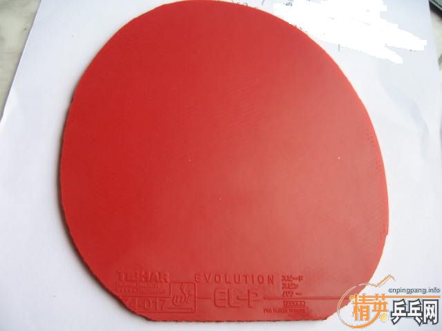 ��ˮ����ľST��10���׽������Խ�࣬�Ż�Խ�࣡