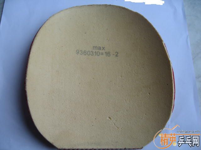 ��ˮ����ľST��10���׽������Խ�࣬�Ż�Խ�࣡