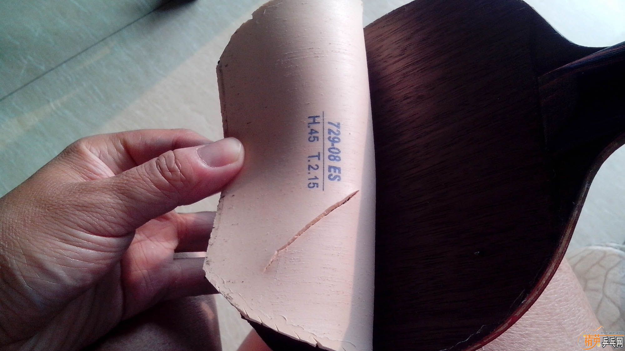 729��˾���������һ�ܵĽ�Ƥ�������ˣ��ò��ø���