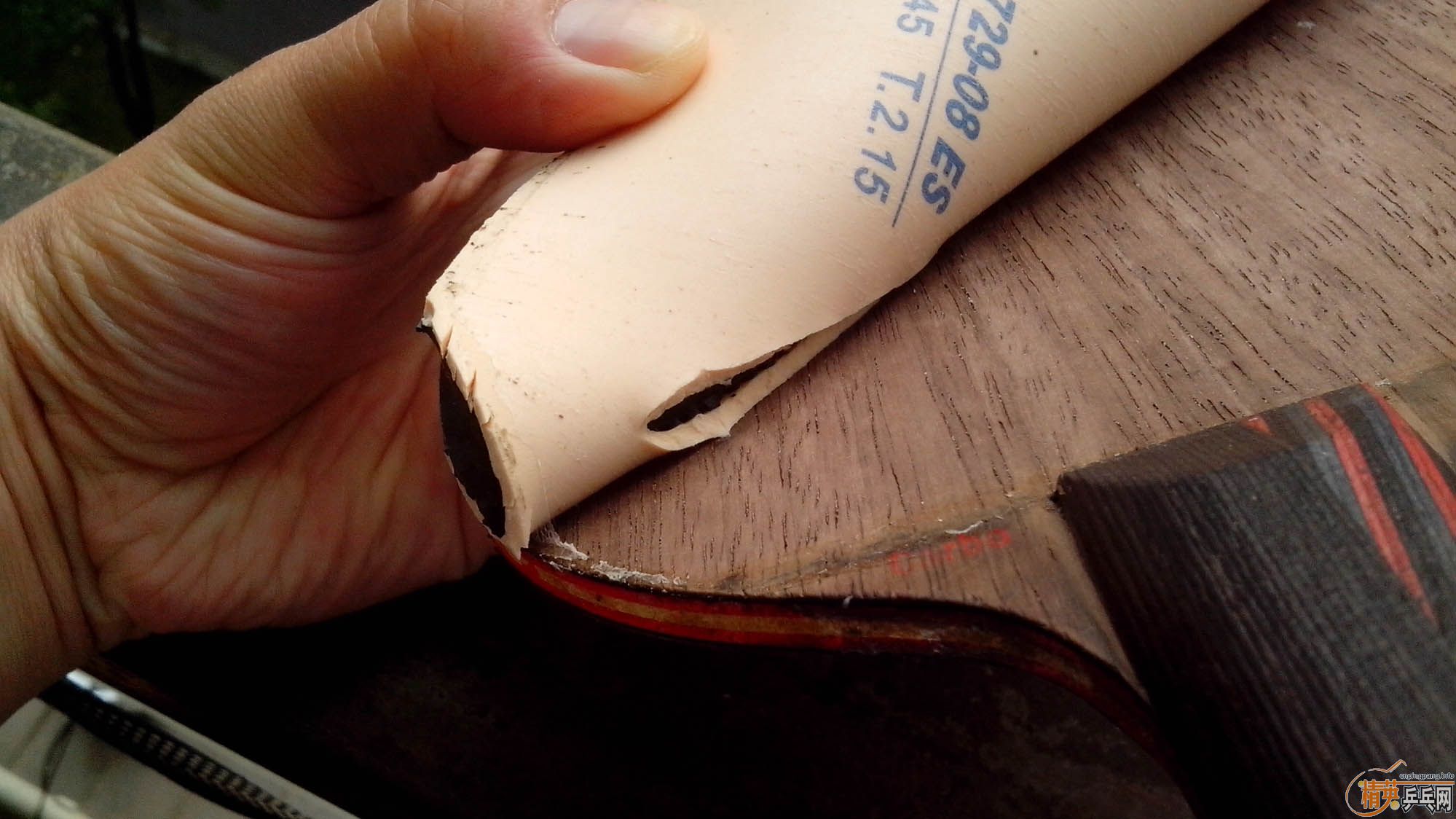 729��˾���������һ�ܵĽ�Ƥ�������ˣ��ò��ø���