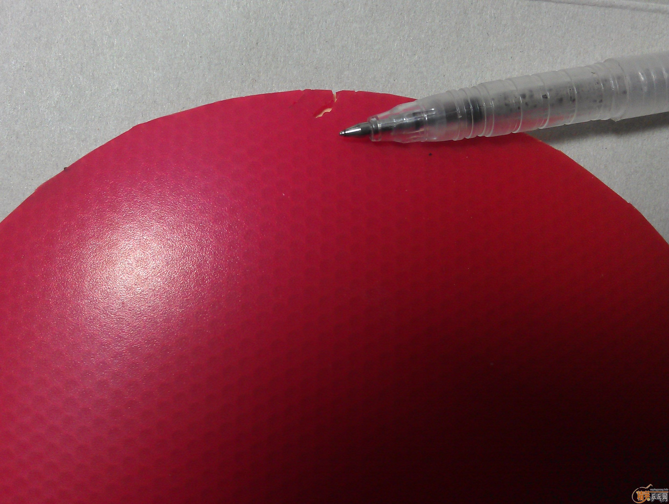 [ԭ��]�����3�Ž�Ƥ������Jo������38�ȡ�158���ʡ�QQ��42231394