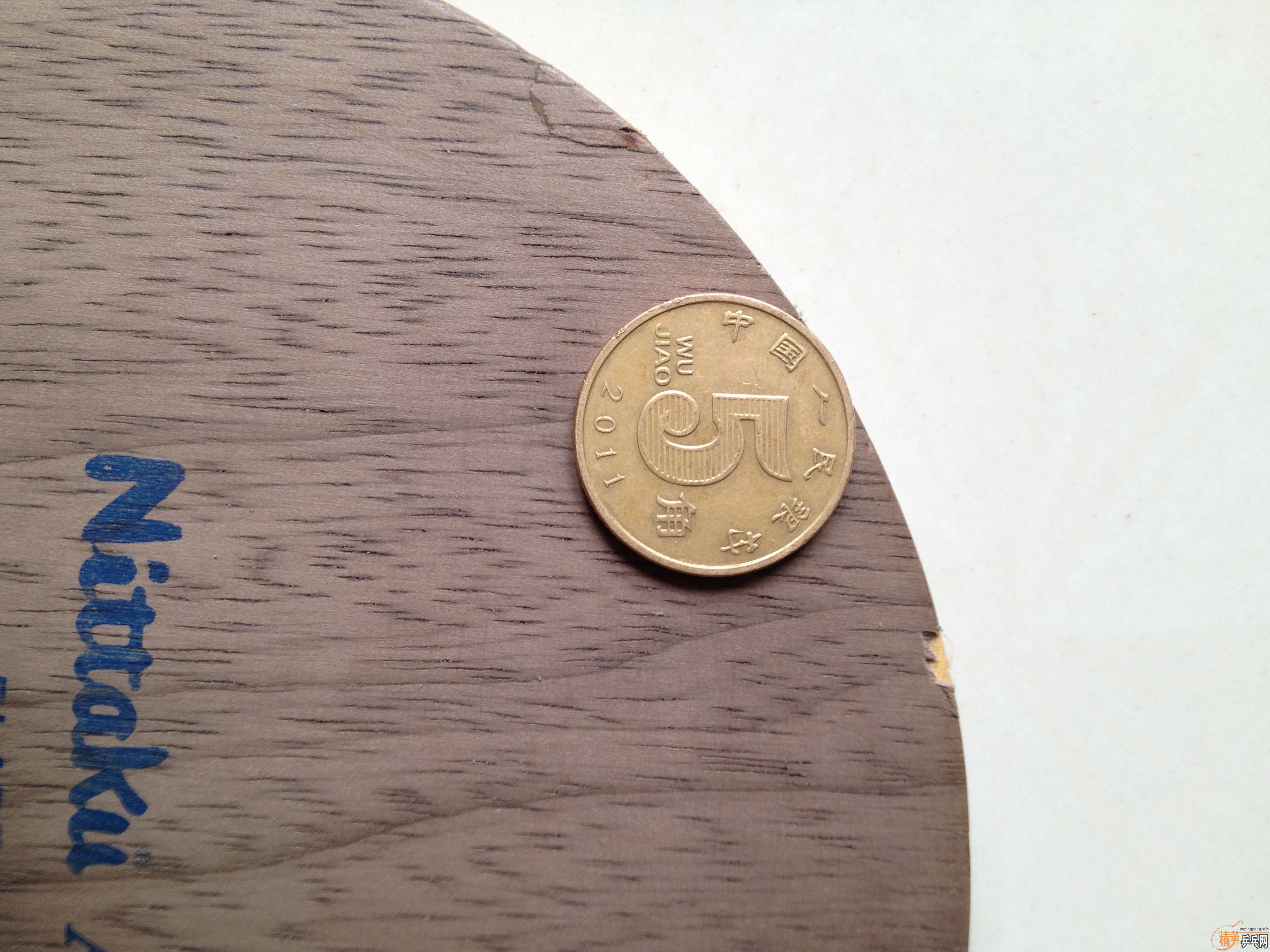 ��������Nittaku Rutis FL��ANV-WL FL