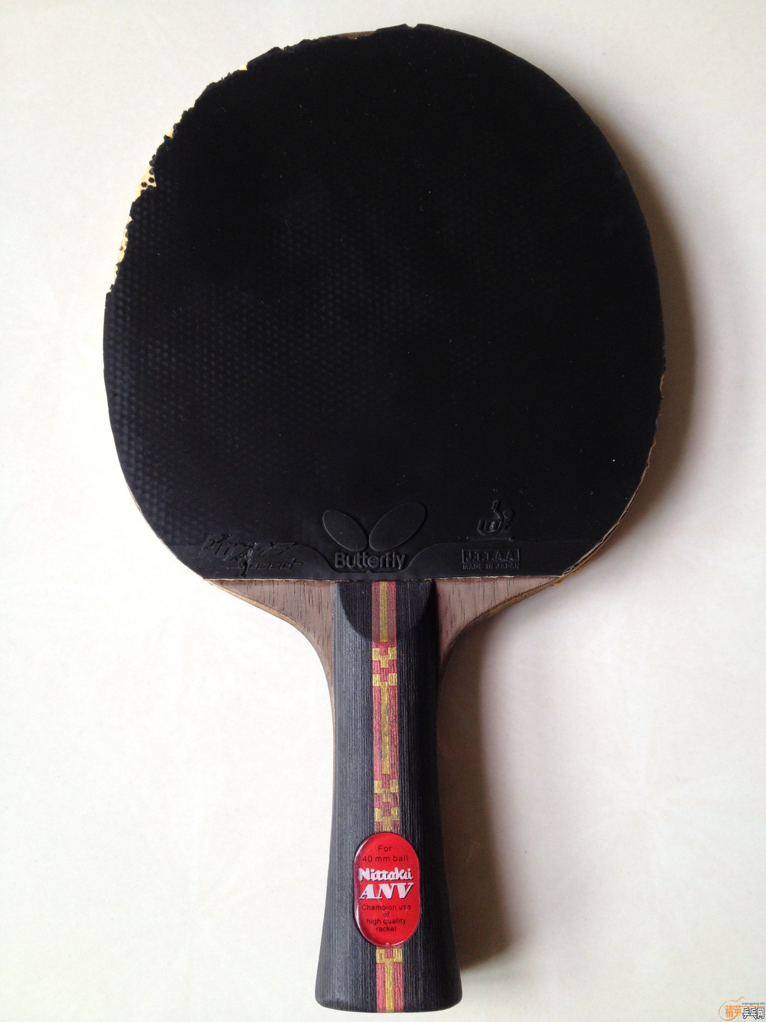 ��������Nittaku Rutis FL��ANV-WL FL