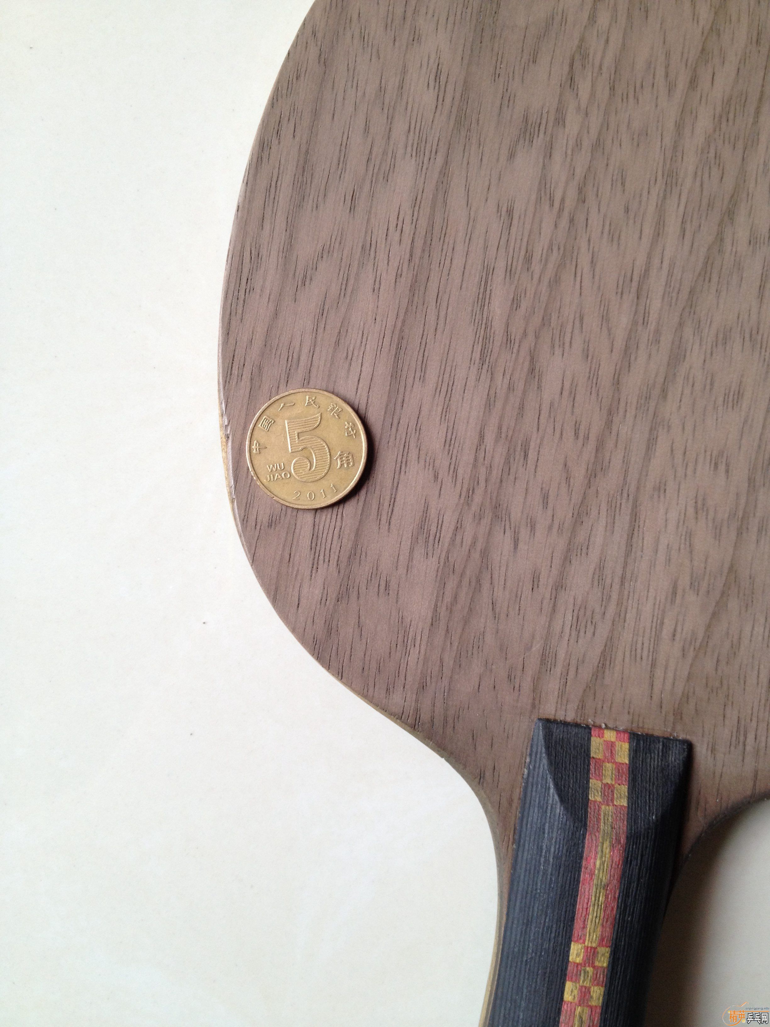 ��������Nittaku Rutis FL��ANV-WL FL