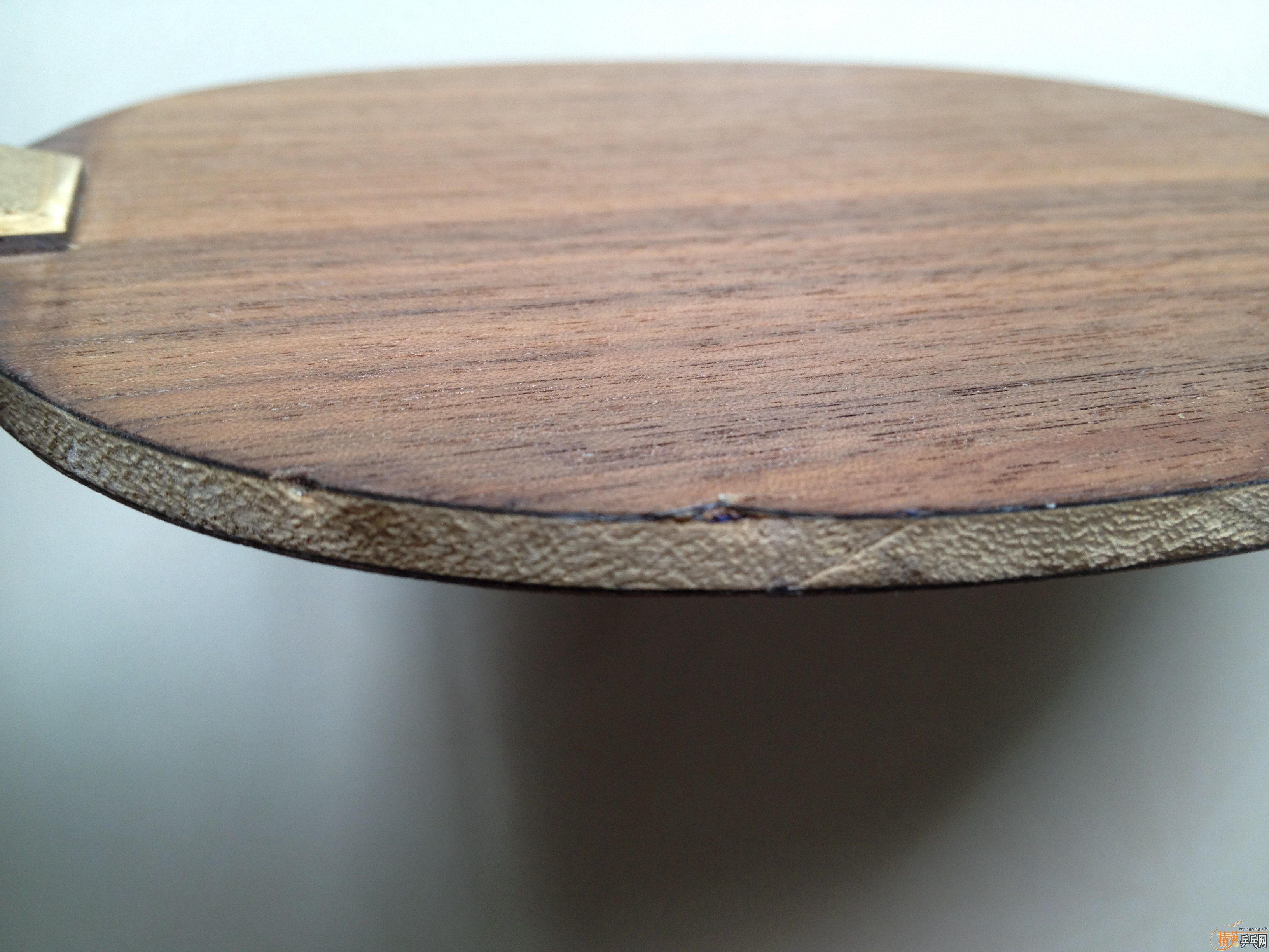 ��������Nittaku Rutis FL��ANV-WL FL