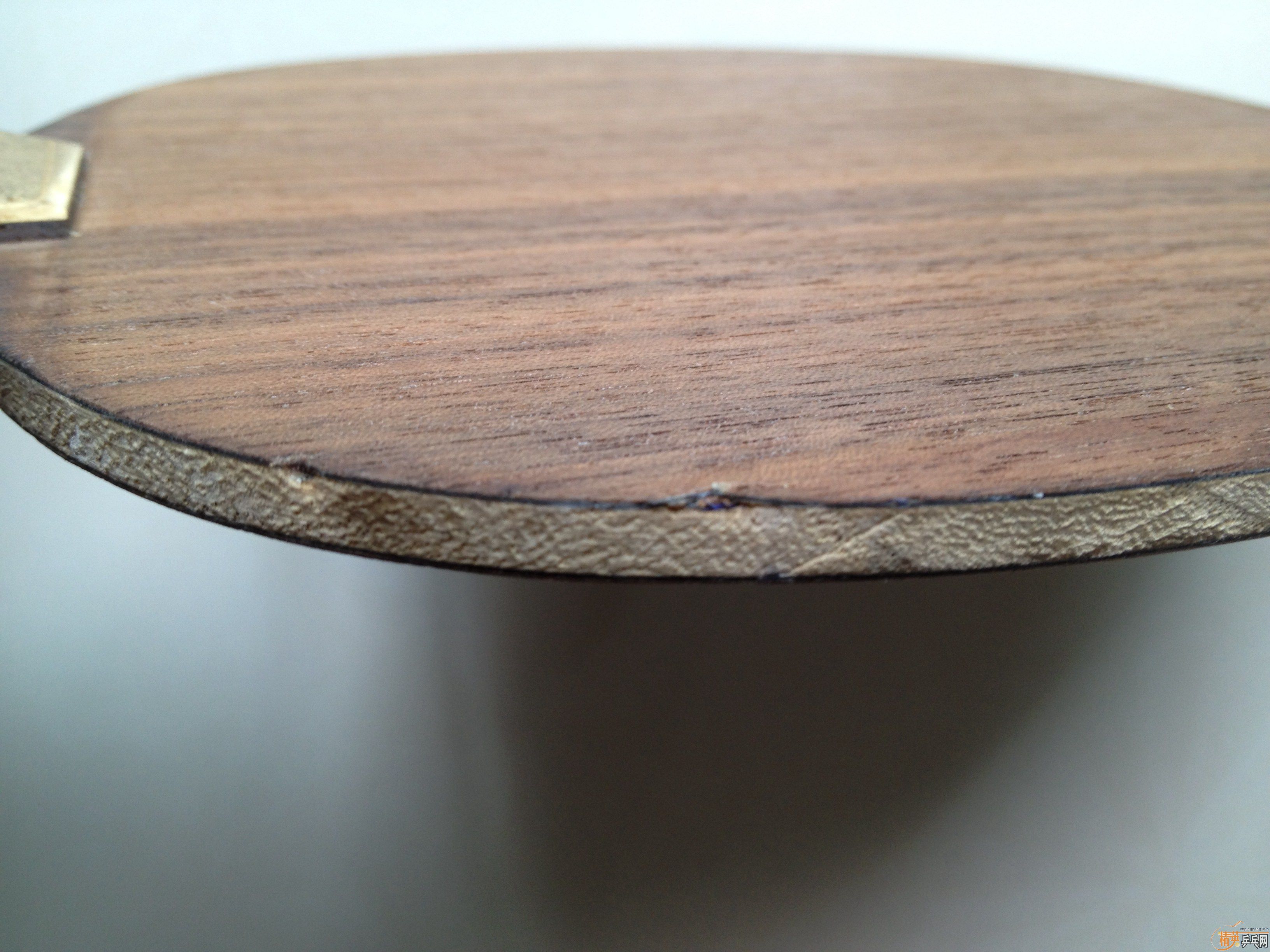 ��������Nittaku Rutis FL��ANV-WL FL