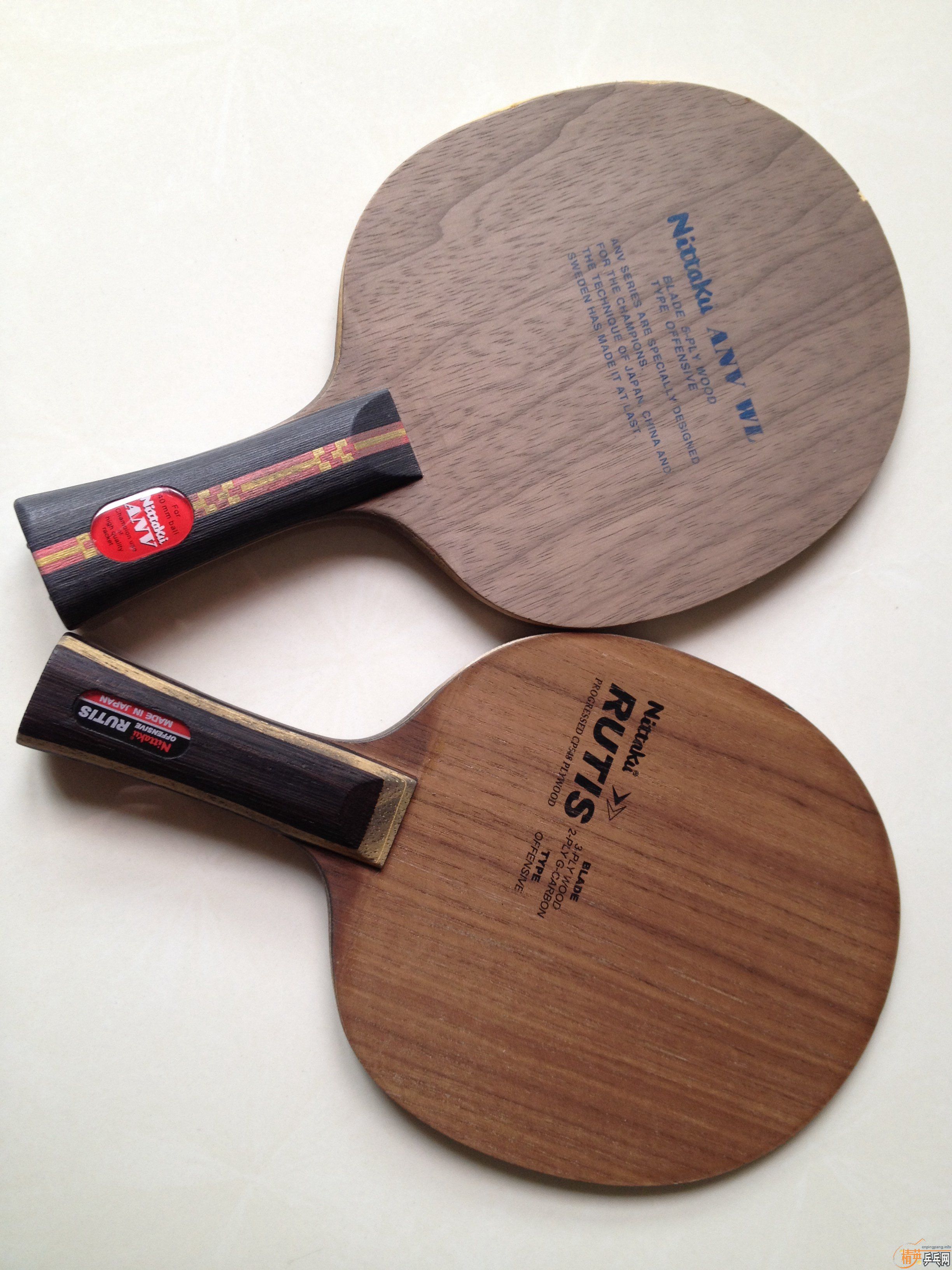 ��������Nittaku Rutis FL��ANV-WL FL