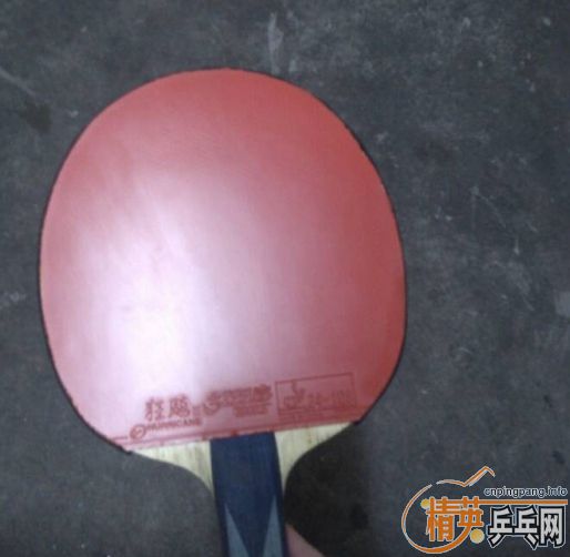 �����µĹ��񡪡������׿ǡ�������39��