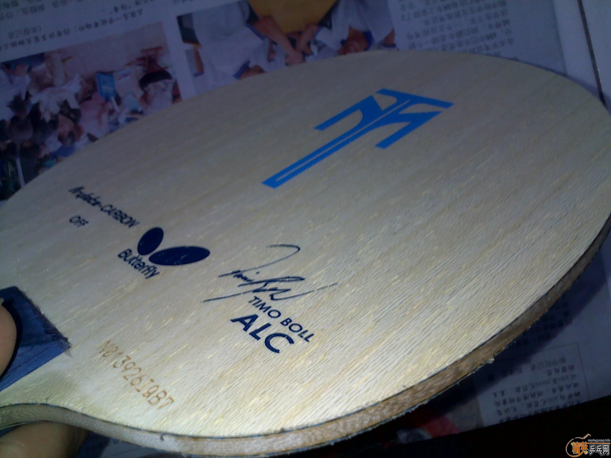 ��С����st bollalc8����