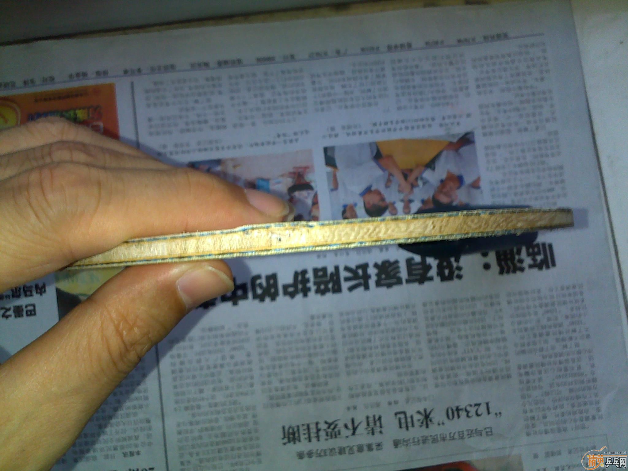 ��С����st bollalc8����