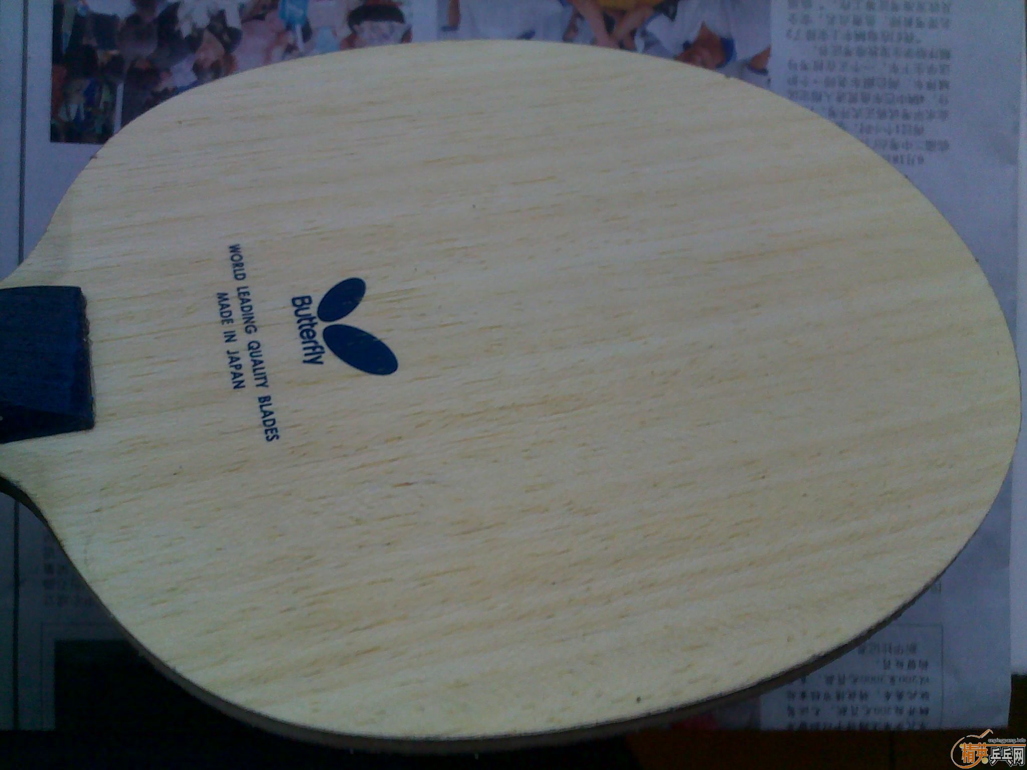 ��С����st bollalc8����